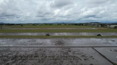 Malezya, Kedah 'daki Paddy Rice Tarlalarını tarayan traktörler