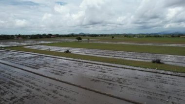 Malezya, Kedah 'daki Paddy Rice Tarlalarını tarayan traktörler