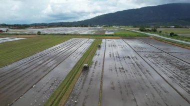 Malezya, Kedah 'daki Paddy Rice Tarlalarını tarayan traktörler