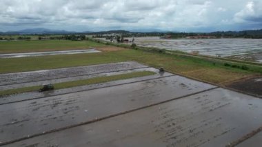 Malezya, Kedah 'daki Paddy Rice Tarlalarını tarayan traktörler