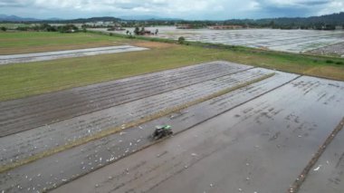 Malezya, Kedah 'daki Paddy Rice Tarlalarını tarayan traktörler
