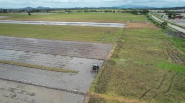 Malezya, Kedah 'daki Paddy Rice Tarlalarını tarayan traktörler