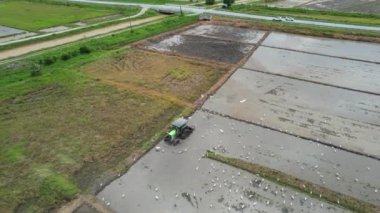Malezya, Kedah 'daki Paddy Rice Tarlalarını tarayan traktörler