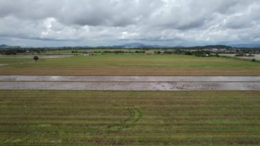 Malezya, Kedah 'daki Paddy Rice Tarlalarını tarayan traktörler