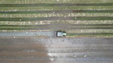 Malezya, Kedah 'daki Paddy Rice Tarlalarını tarayan traktörler