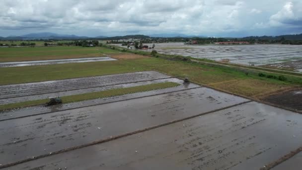 Traktoren Pflügen Die Reisfelder Kedah Malaysia — Stockvideo