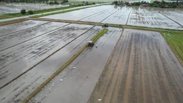 Tracteurs Labourant Les Rizières Kedah Malaisie — Video