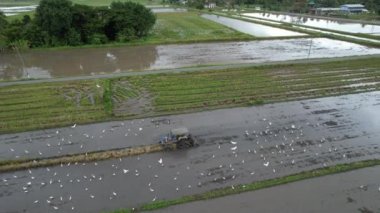 Malezya, Kedah 'daki Paddy Rice Tarlalarını tarayan traktörler
