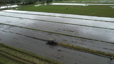 Malezya, Kedah 'daki Paddy Rice Tarlalarını tarayan traktörler