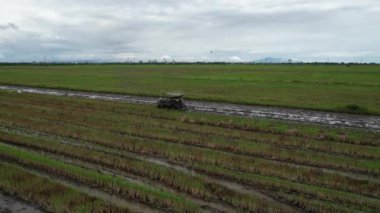Malezya, Kedah 'daki Paddy Rice Tarlalarını tarayan traktörler