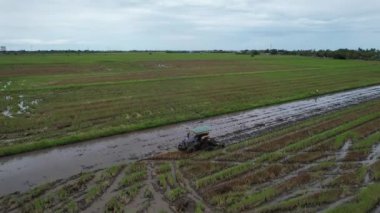 Malezya, Kedah 'daki Paddy Rice Tarlalarını tarayan traktörler