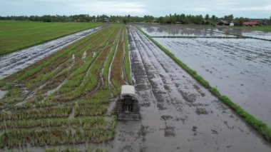 Malezya, Kedah 'daki Paddy Rice Tarlalarını tarayan traktörler