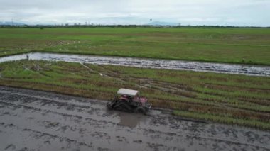 Malezya, Kedah 'daki Paddy Rice Tarlalarını tarayan traktörler
