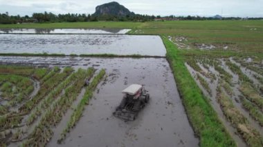 Malezya, Kedah 'daki Paddy Rice Tarlalarını tarayan traktörler