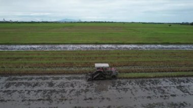 Malezya, Kedah 'daki Paddy Rice Tarlalarını tarayan traktörler