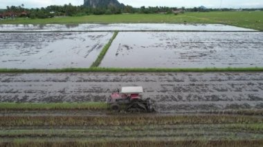 Malezya, Kedah 'daki Paddy Rice Tarlalarını tarayan traktörler