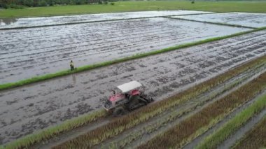 Malezya, Kedah 'daki Paddy Rice Tarlalarını tarayan traktörler