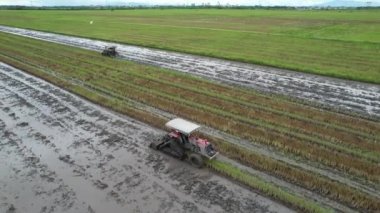 Malezya, Kedah 'daki Paddy Rice Tarlalarını tarayan traktörler