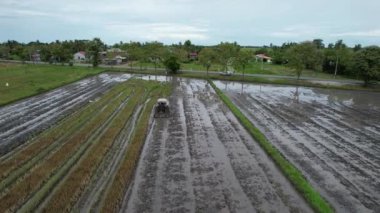 Malezya, Kedah 'daki Paddy Rice Tarlalarını tarayan traktörler