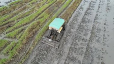 Penang Malezya 'nın Kurbağa Tepeleri