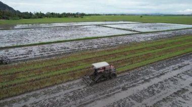 Penang Malezya 'nın Kurbağa Tepeleri