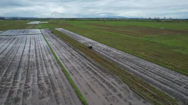 Penang Malezya 'nın Kurbağa Tepeleri