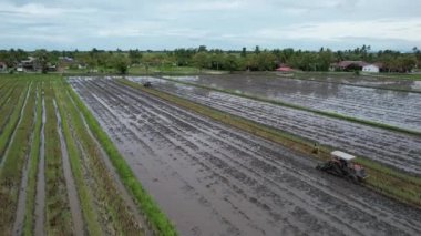 Penang Malezya 'nın Kurbağa Tepeleri