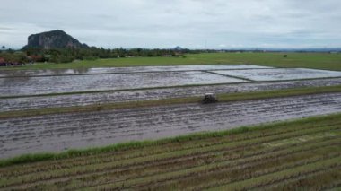 Penang Malezya 'nın Kurbağa Tepeleri