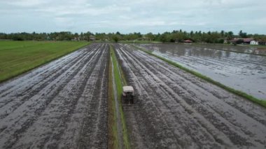 Penang Malezya 'nın Kurbağa Tepeleri