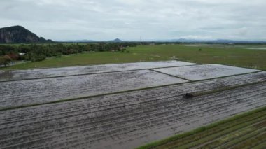 Penang Malezya 'nın Kurbağa Tepeleri