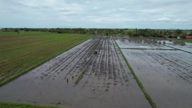Penang Malezya 'nın Kurbağa Tepeleri