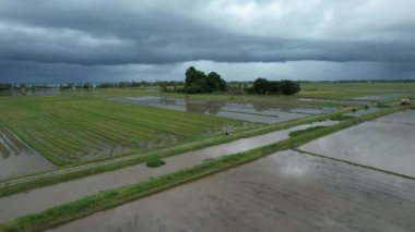 Penang Malezya 'nın Kurbağa Tepeleri