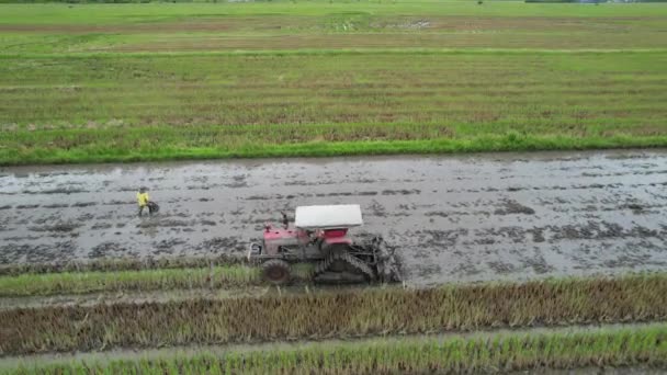 Traktorer Plogning Paddy Rice Fields Kedah Malaysia — Stockvideo