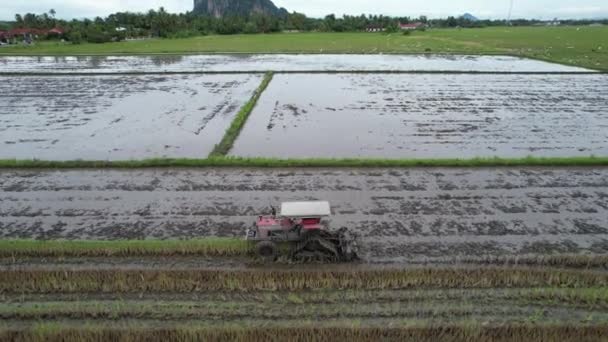 Traktory Ploughing Paddy Rice Fields Kedahu Malajsie — Stock video