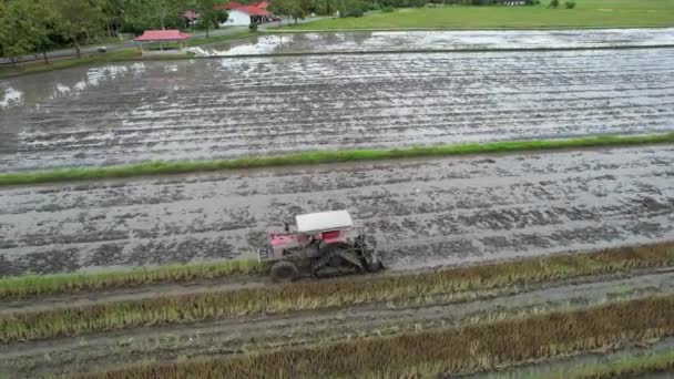 Traktoren Pflügen Die Reisfelder Kedah Malaysia — Stockvideo