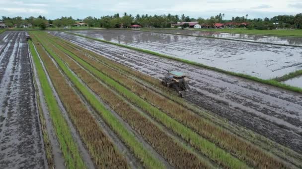 Las Colinas Rana Penang Malasia — Vídeos de Stock