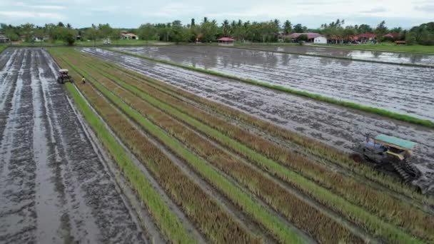 Las Colinas Rana Penang Malasia — Vídeos de Stock