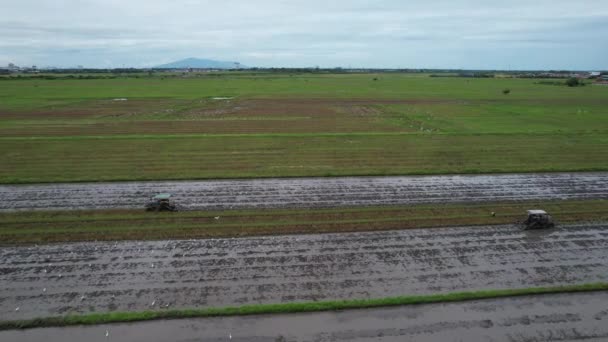 Żabie Wzgórza Penang Malezja — Wideo stockowe