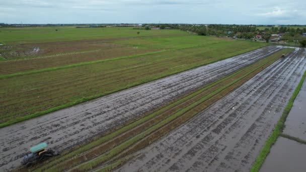 Żabie Wzgórza Penang Malezja — Wideo stockowe