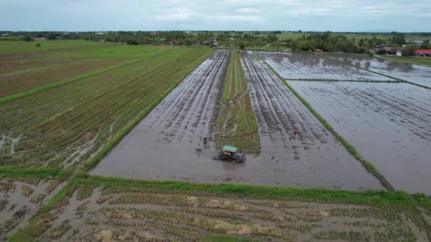 Las Colinas Rana Penang Malasia — Vídeos de Stock