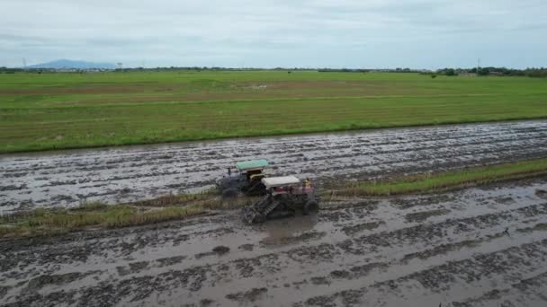 Żabie Wzgórza Penang Malezja — Wideo stockowe