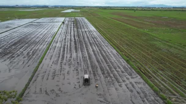 Żabie Wzgórza Penang Malezja — Wideo stockowe