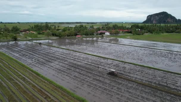 Żabie Wzgórza Penang Malezja — Wideo stockowe