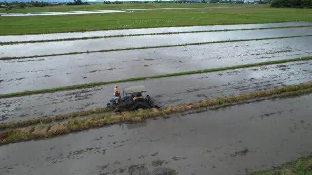 Żabie Wzgórza Penang Malezja — Wideo stockowe