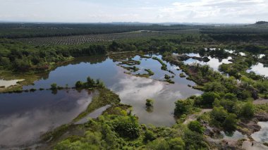 Penang Malezya 'nın Kurbağa Tepeleri