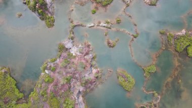 Penang Malezya 'nın Kurbağa Tepeleri