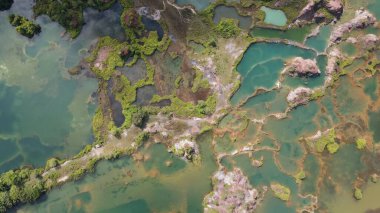 Penang Malezya 'nın Kurbağa Tepeleri