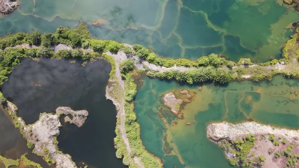 Frog Hills Penang Μαλαισία — Φωτογραφία Αρχείου