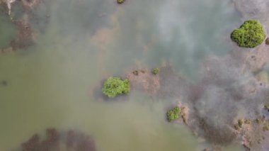 Penang Malezya 'nın Kurbağa Tepeleri