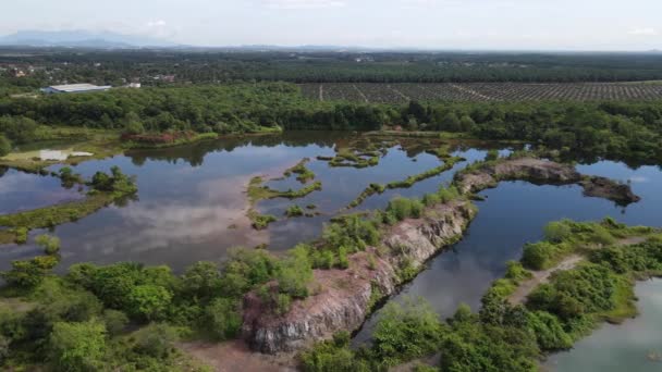 Dealurile Broască Din Penang Malaezia — Videoclip de stoc